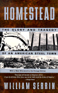 Homestead: The Glory and Tragedy of an American Steel Town