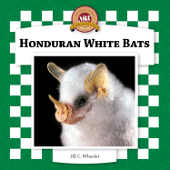 Honduran White Bats