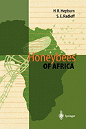 Honeybees of Africa