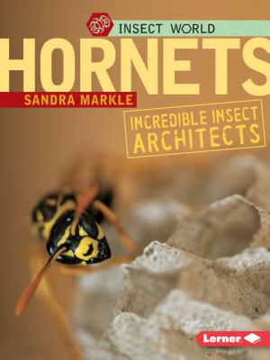 Hornets: Incredible Insect Architects - Markle, Sandra