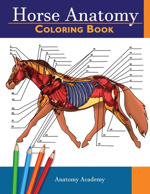 Horse Anatomy Coloring Book: Incredibly Detailed Self-Test Equine Anatomy Color workbook Perfect Gift for Veterinary Students, Horse Lovers & Adults - Academy, Anatomy