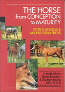 Horse: From Conception to Maturity