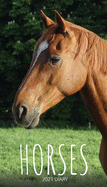 Horses 2021 Diary: Slim Pocket Calendar, Monthly Planner, Date Book, Organizer, Notepad