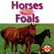 Horses Have Foals