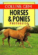 Horses & Ponies Photo Guide