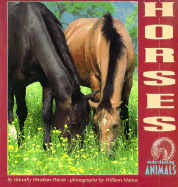 Horses