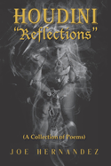 Houdini "Reflections"