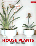 House Plants