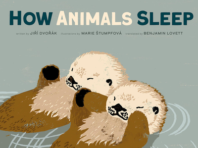 How Animals Sleep - Dvorak, Jiri, and Lovett, Benjamin (Translated by)