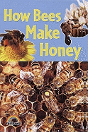 How Bees Make Honey - Ramsey, Helena