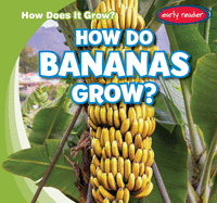 How Do Bananas Grow?