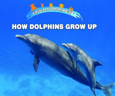 How Dolphins Grow Up - Bozzo, Linda
