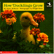 How Ducklings Grow