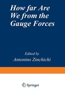 How Far Are We from the Gauge Forces?