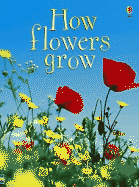 How Flowers Grow