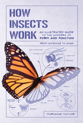 How Insects Work: An Illustrated Guide to the Wonders of Form and Function - From Antennae to Wings - Taylor, Marianne