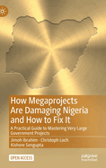 How Megaprojects Are Damaging Nigeria and How to Fix It: A Practical Guide to Mastering Very Large Government Projects