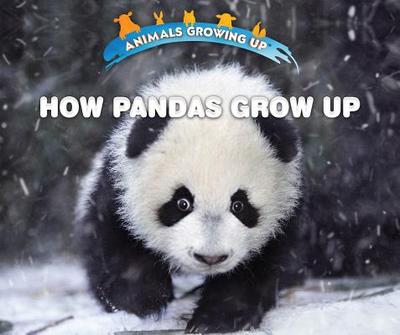 How Pandas Grow Up - Idzikowski, Lisa