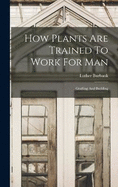 How Plants Are Trained To Work For Man: Grafting And Budding