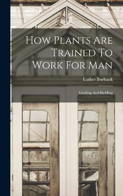 How Plants Are Trained To Work For Man: Grafting And Budding - Burbank, Luther