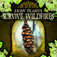 How Plants Survive Wildfires