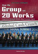 How the Group of 20 Works