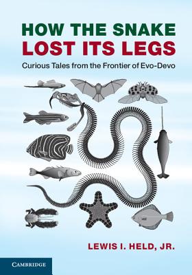 How the Snake Lost its Legs: Curious Tales from the Frontier of Evo-Devo - Held, Jr, Lewis I.
