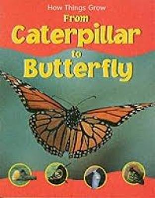 How Things Grow Caterpillar to Butterfly - Morgan, Sally