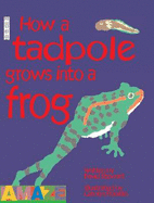 How This Tadpole Grows into This Frog - Stewart, David