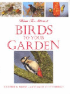 How to Attract Birds to Garden