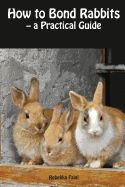 How to Bond Rabbits: - a Practical Guide