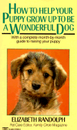 How to Help Your Puppy Grow Up to Be a Wonderful Dog