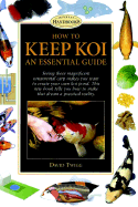 How to Keep Koi: An Essential Guide