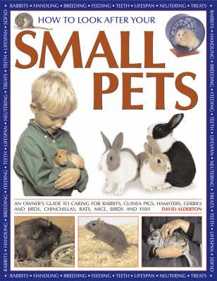How to Look After Your Small Pets: An Owner's Guide to Caring for Rabbits, Guinea Pigs, Hamsters, Gerbils and Jirds, Chinchillas, Rats, Mice and Other Rodents - Alderton, David