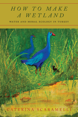 How to Make a Wetland: Water and Moral Ecology in Turkey - Scaramelli, Caterina