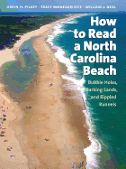 How to Read a North Carolina Beach: Bubble Holes, Barking Sands, and Rippled Runnels