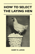 How To Select The Laying Hen