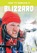 How to Survive a Blizzard