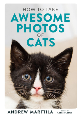 How to Take Awesome Photos of Cats - Marttila, Andrew