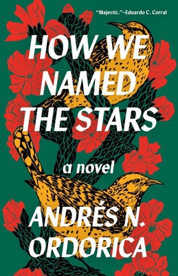 How We Named the Stars - Ordorica, Andrs N