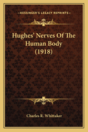 Hughes' Nerves Of The Human Body (1918)