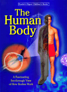 Human Body: A Fascinating See-Through View of How Bodies Work