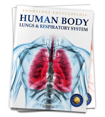 Human Body: Lungs and Respiratory System - Wonder House Books