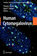 Human Cytomegalovirus