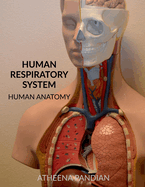 Human Respiratory System