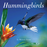 Hummingbirds - Votaw, Melanie