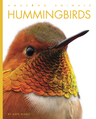 Hummingbirds - Riggs, Kate