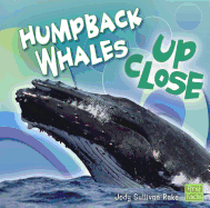 Humpback Whales Up Close
