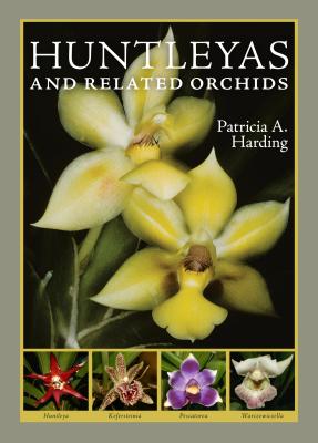 Huntleyas and Related Orchids - Harding, Patricia A