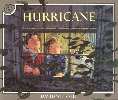 Hurricane - Wiesner, David
